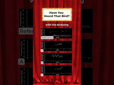 What bird is singing in this Taylor Swift song? đŠ #birdsounds