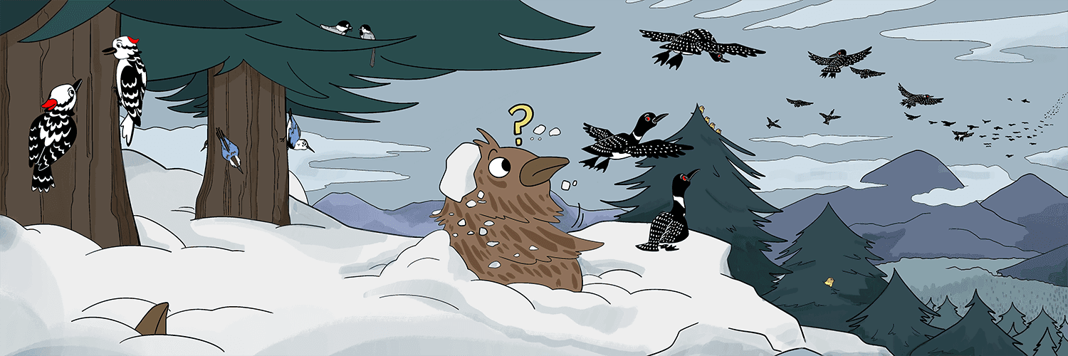 What Do Birds Do in Winter? banner